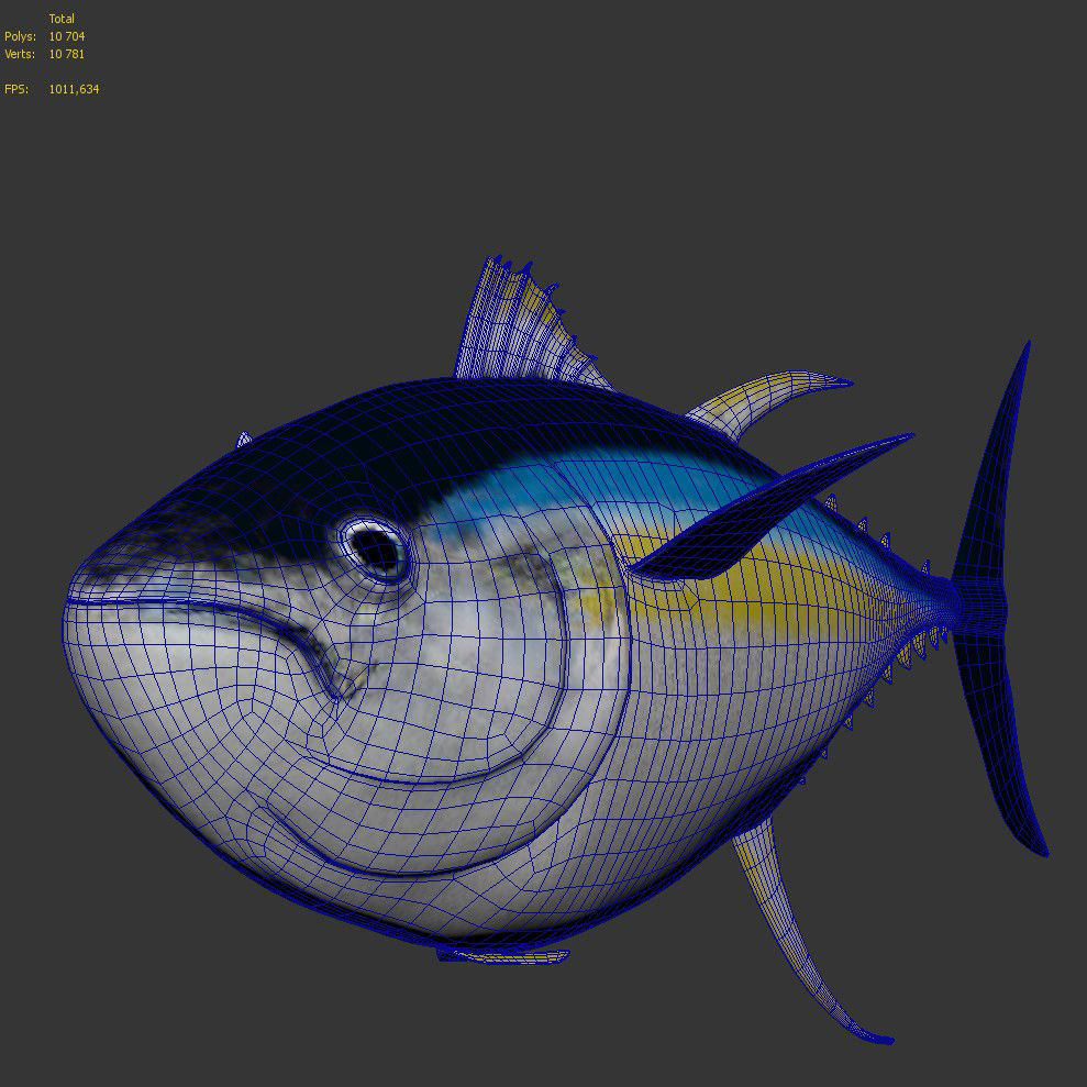 Tuna fish 3D model_10