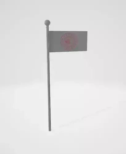 Flag Models Pack 