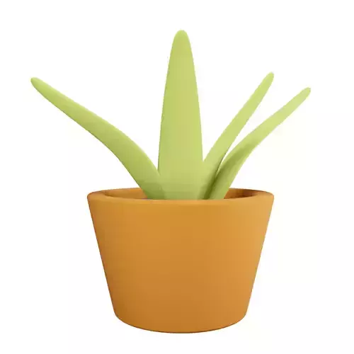 potted plant