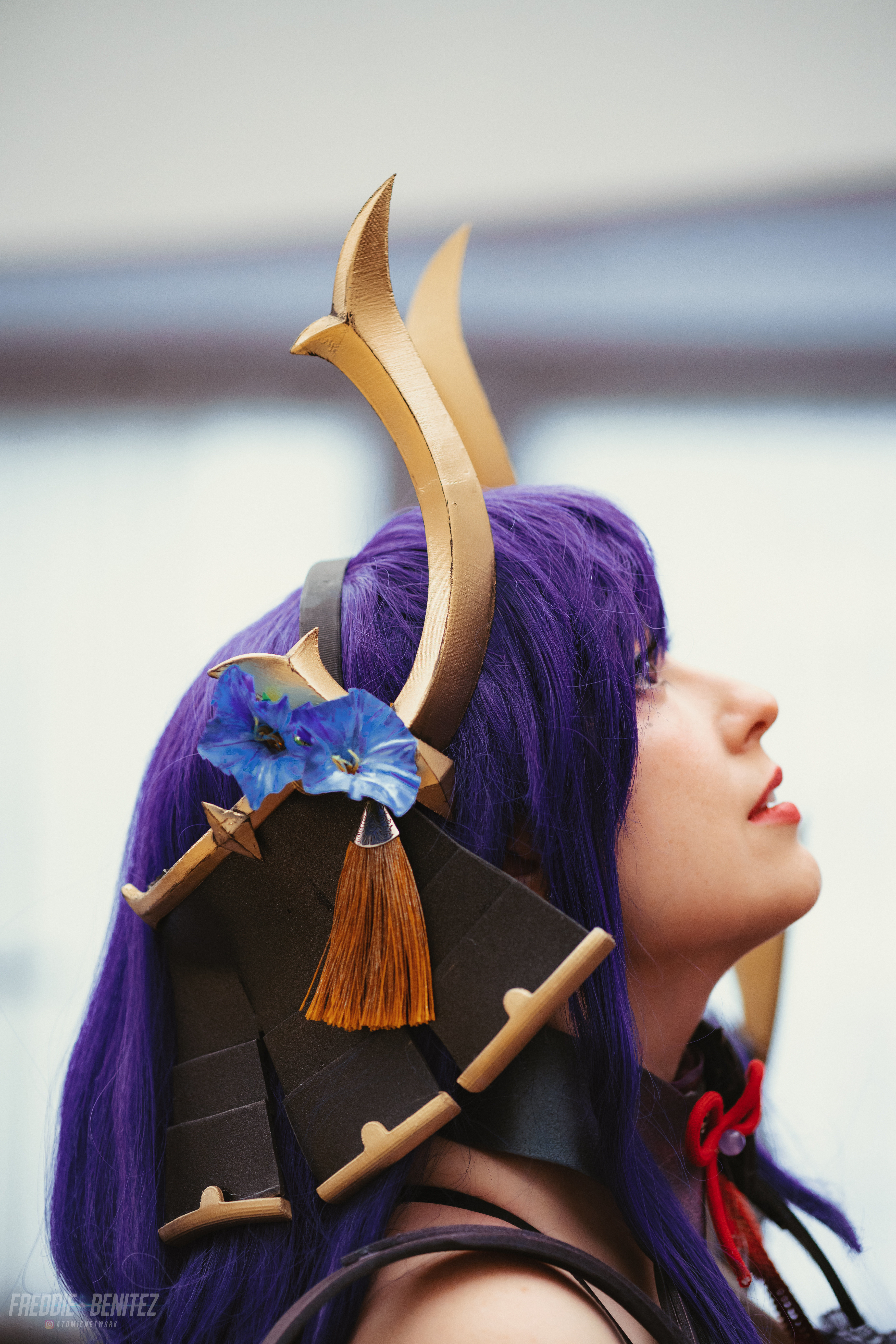 RAIDEN SHOGUN BOSS COSPLAY 3D print model_2