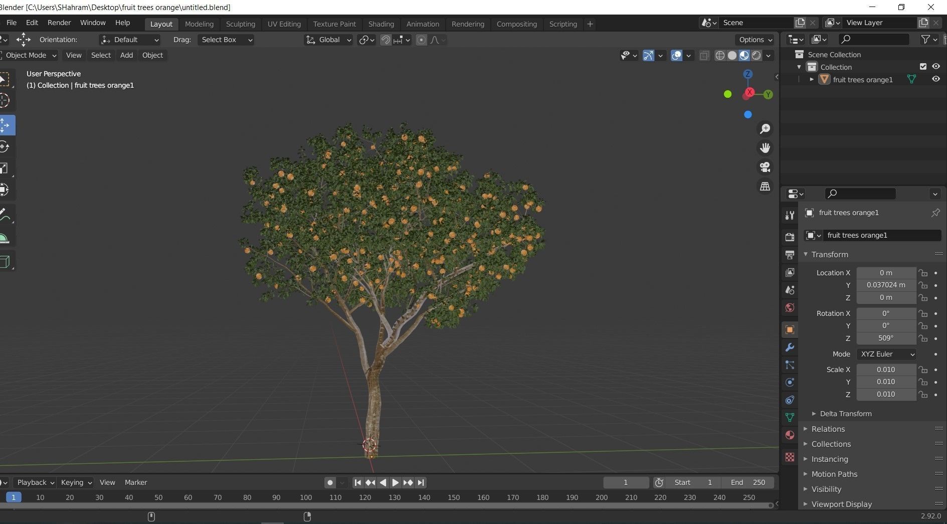 fruit trees-orange 3D model_3