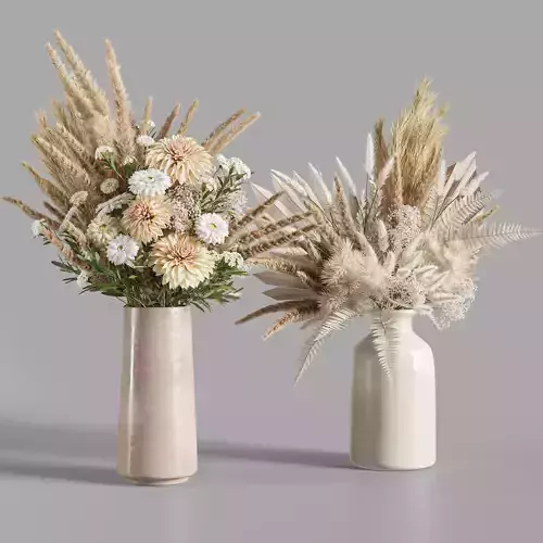 Flower Set 024 Pampas