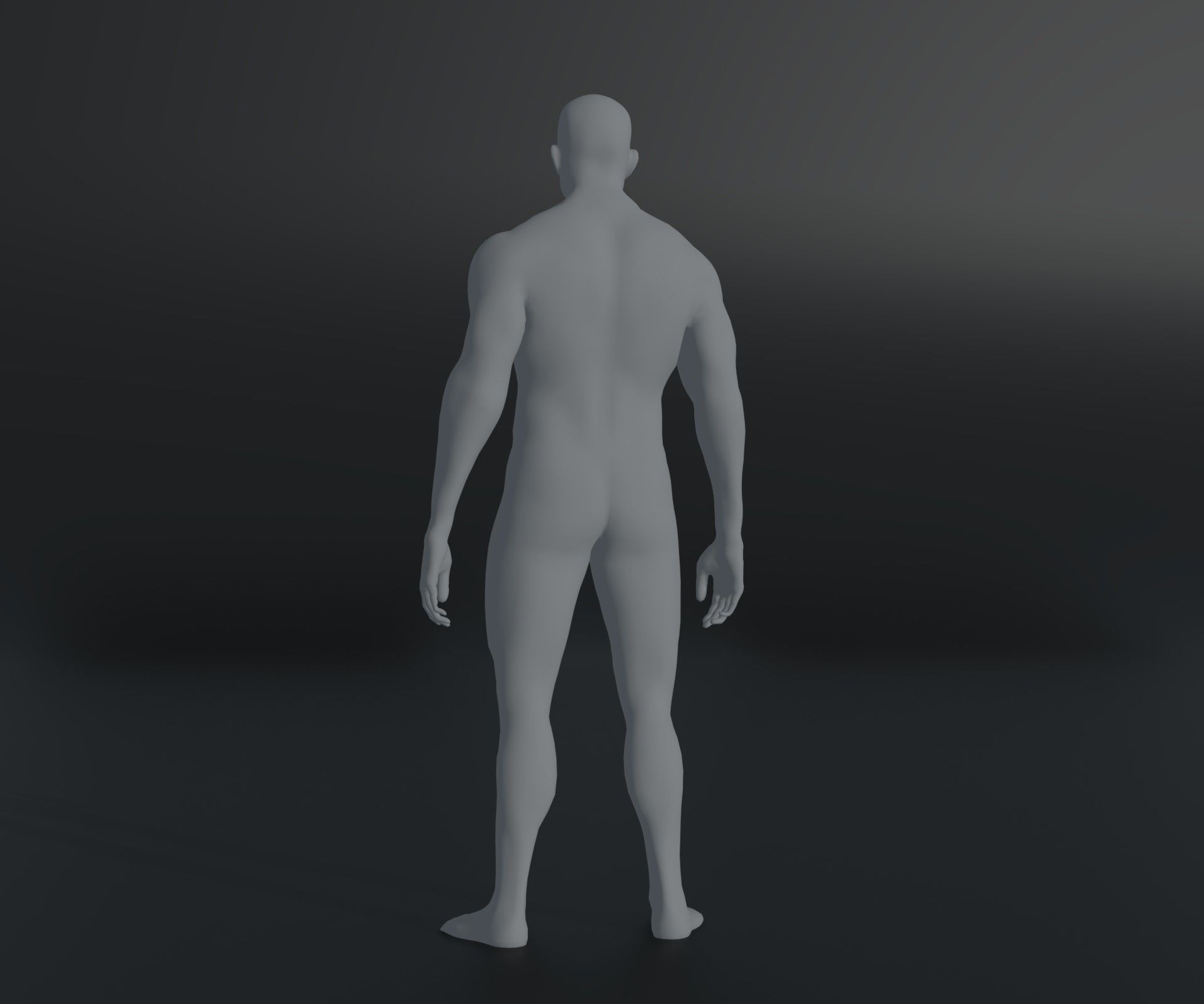 Male and Female Body Base Mesh Animated and Rigged 10k Polygons Low-poly 3D model_32