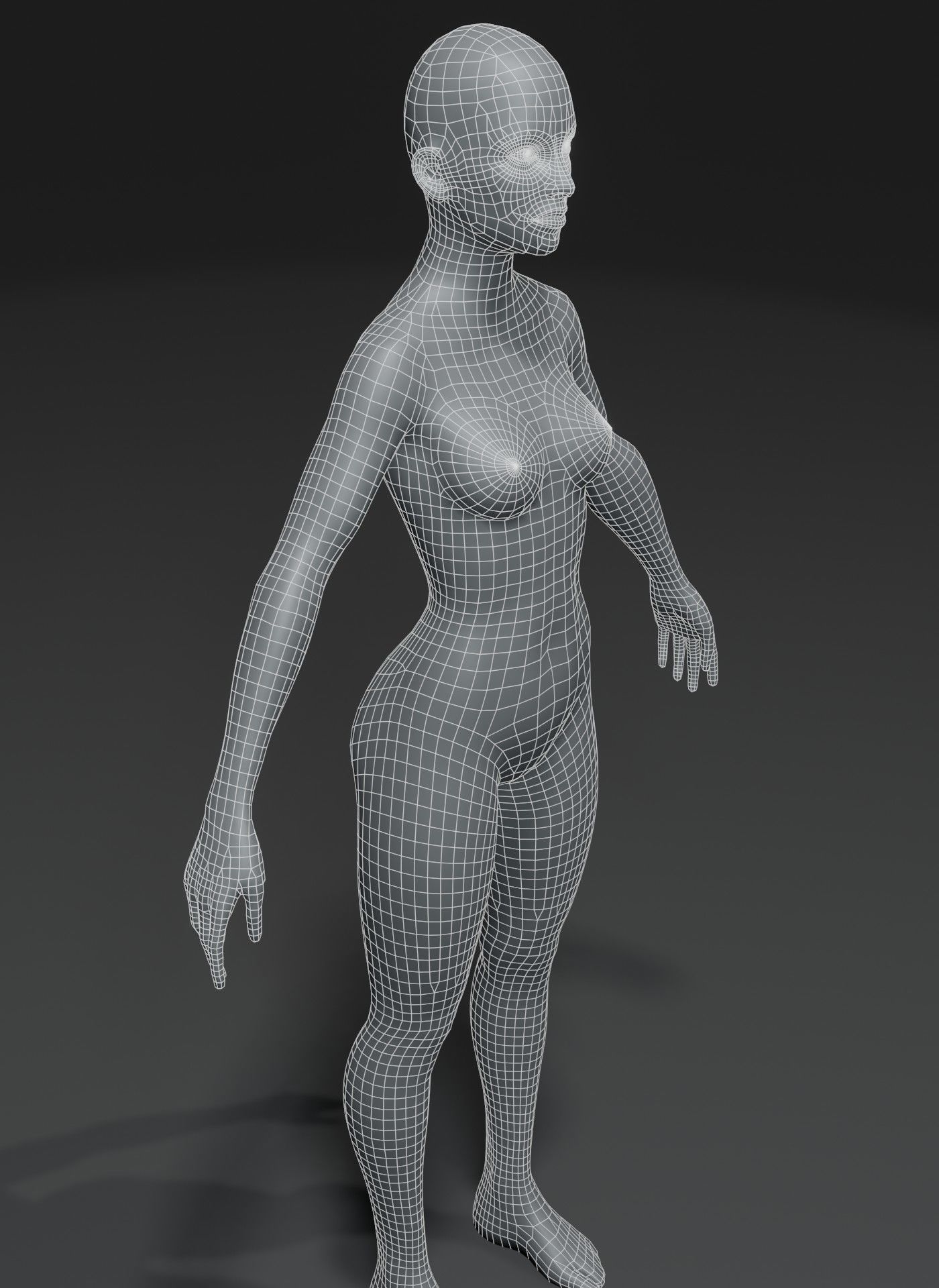 Male and Female Body Base Mesh Animated and Rigged 10k Polygons Low-poly 3D model_10