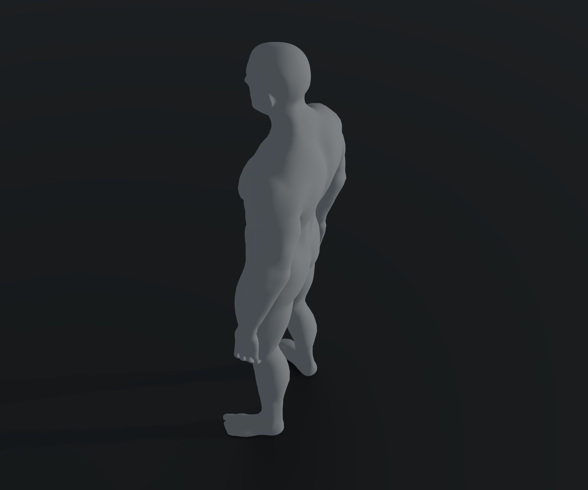 Male and Female Body Base Mesh Animated and Rigged 10k Polygons Low-poly 3D model_29