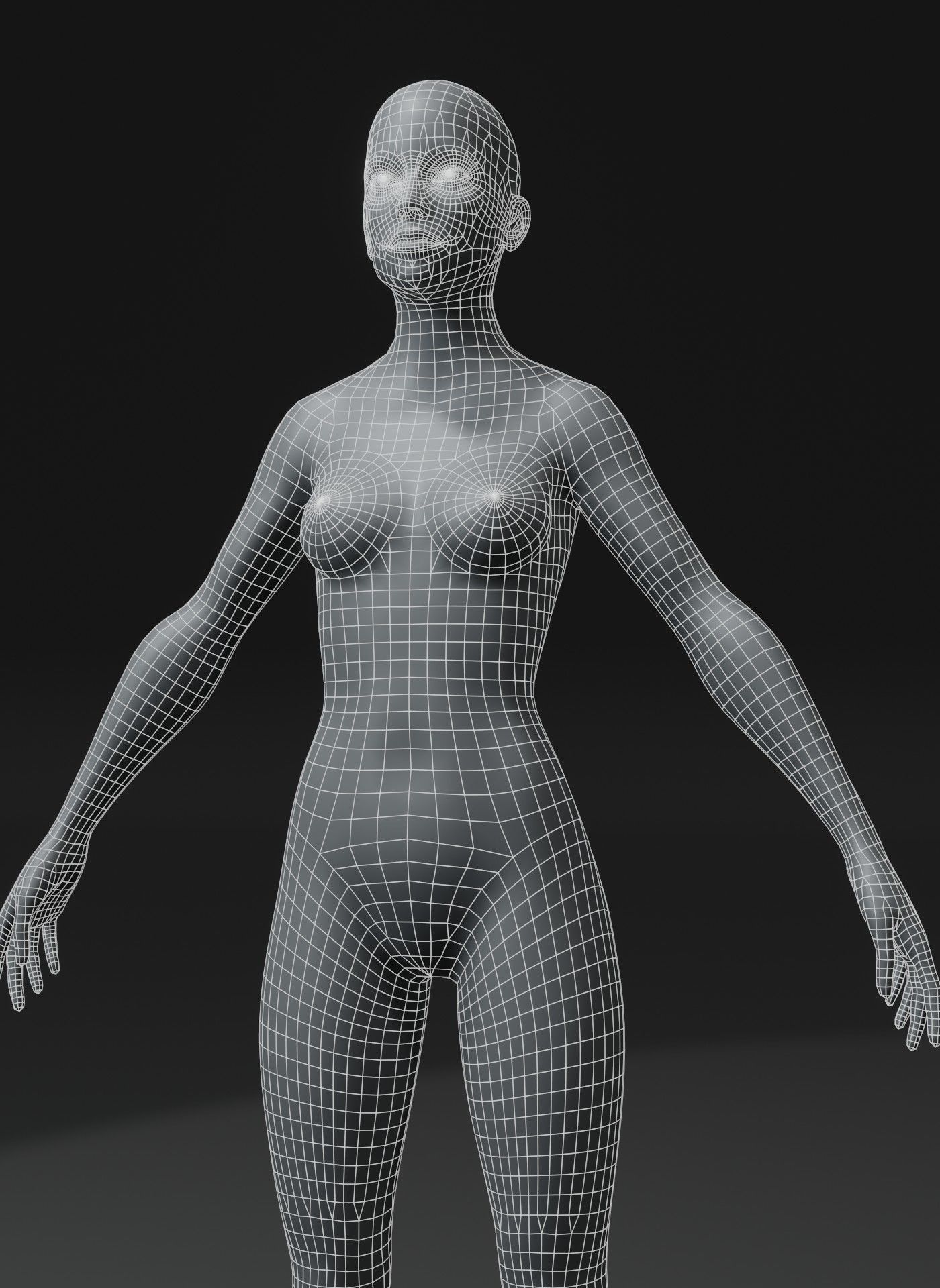 Male and Female Body Base Mesh Animated and Rigged 10k Polygons Low-poly 3D model_9