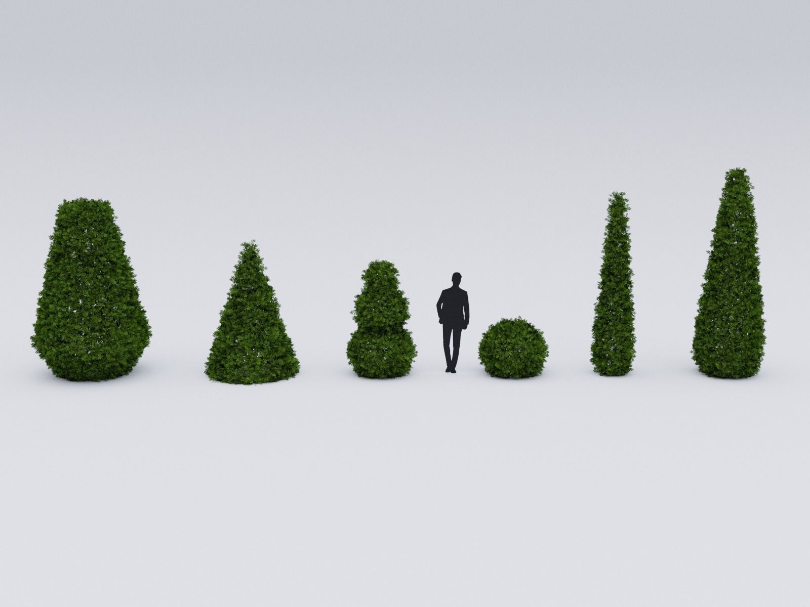 Garden boxwood set v4 Low-poly 3D model_1