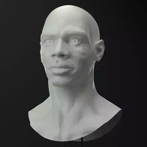 3D African male head