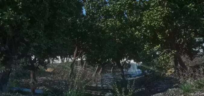 Realistic Forest stream