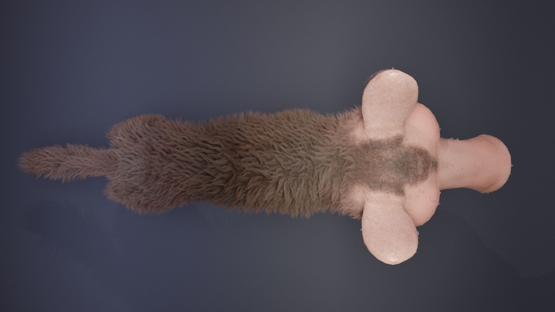 piggy dog 3D model_5