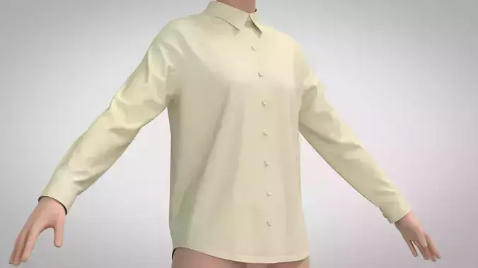 Women Long Sleeve Blouse