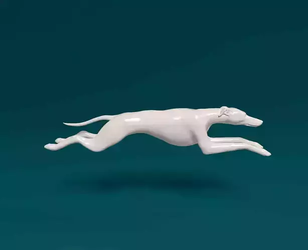 Greyhound running 3D print model