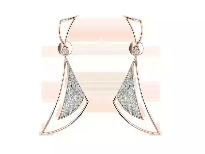 Women earrings