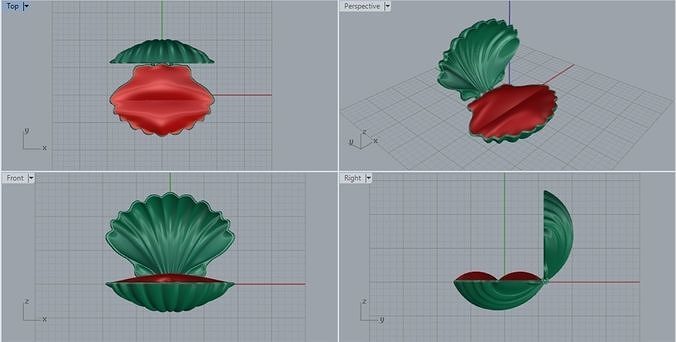 Sea Shell Jewelry Box Free 3D model