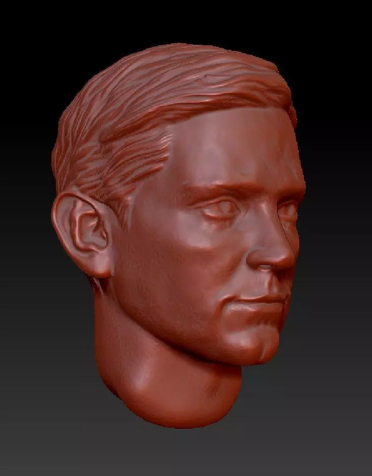 Tobey Maguire - Peter Parker Head Sculpt for Action figures 3D model
