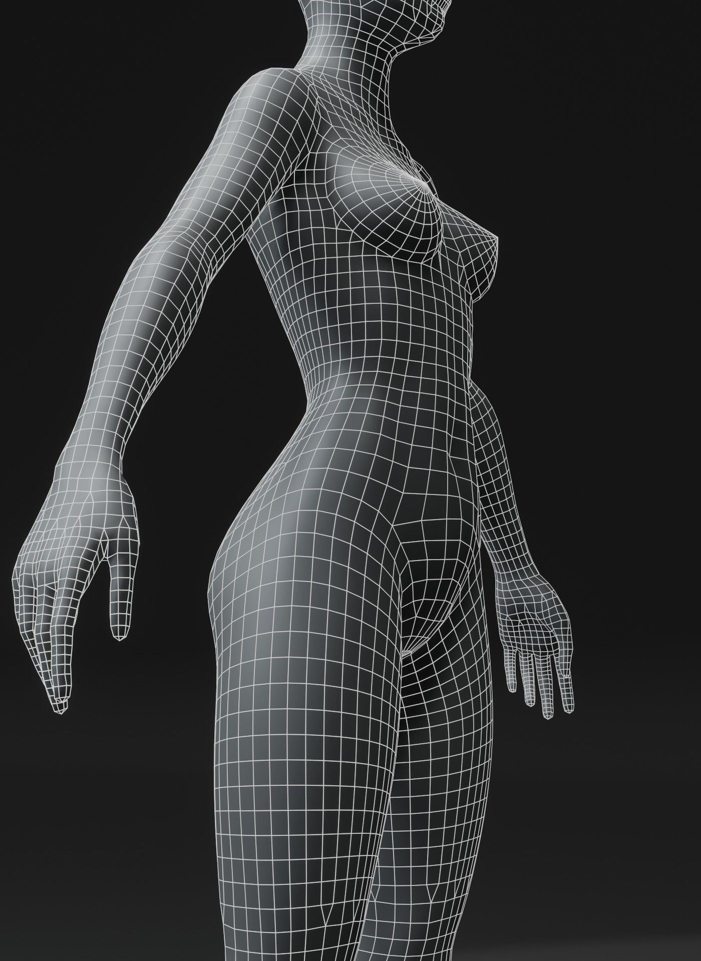 Male Female Body Base Mesh Animated Rigged 10k Poly Collection _38