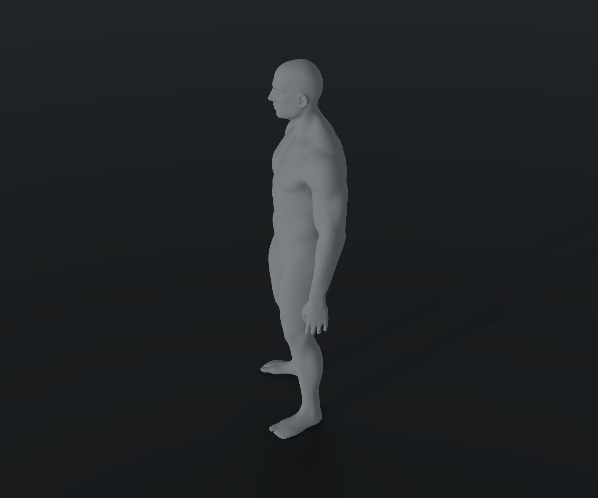 Male Female Body Base Mesh Animated Rigged 10k Poly Collection _17