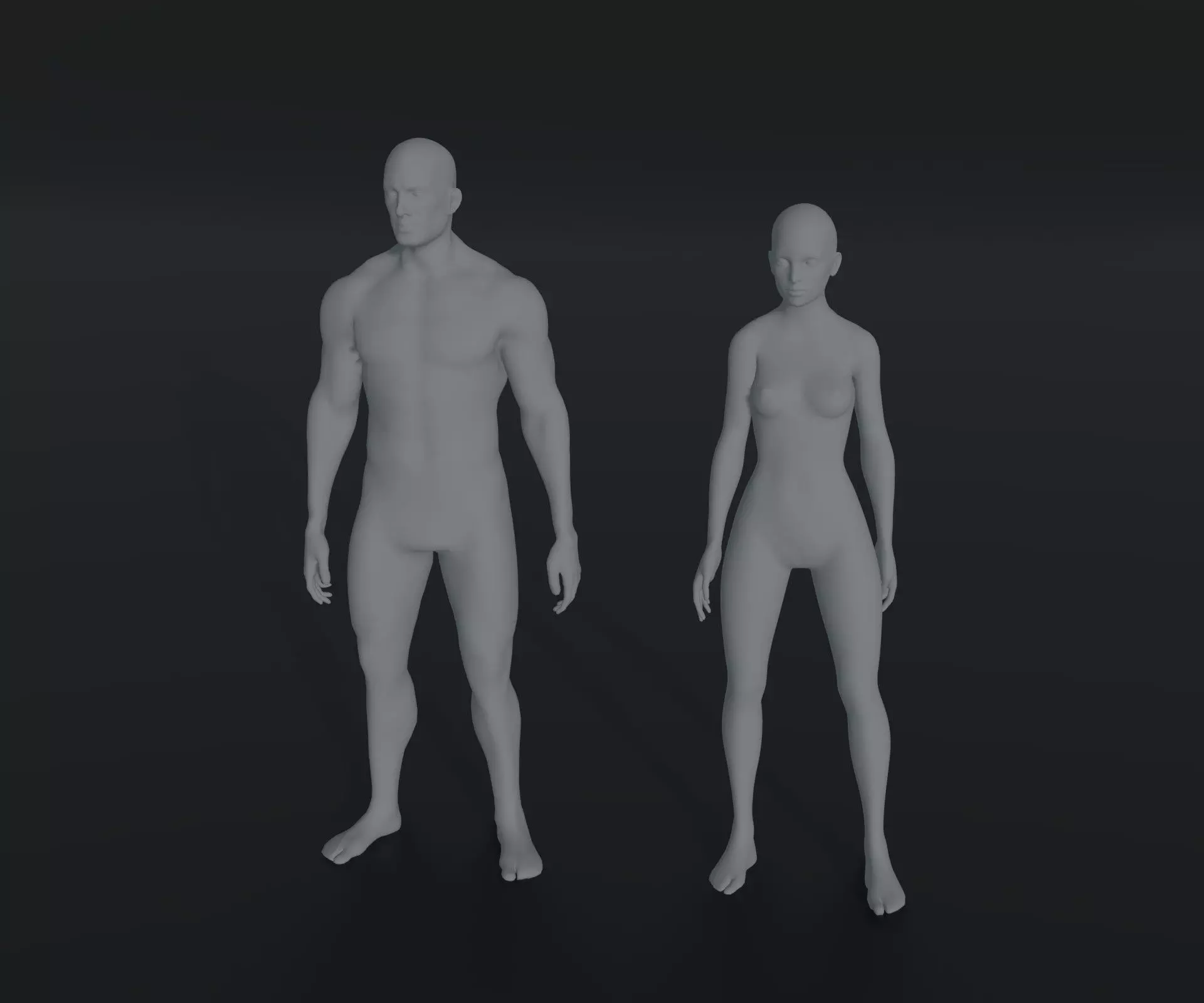 Male Female Body Base Mesh Animated Rigged 10k Poly Collection _0