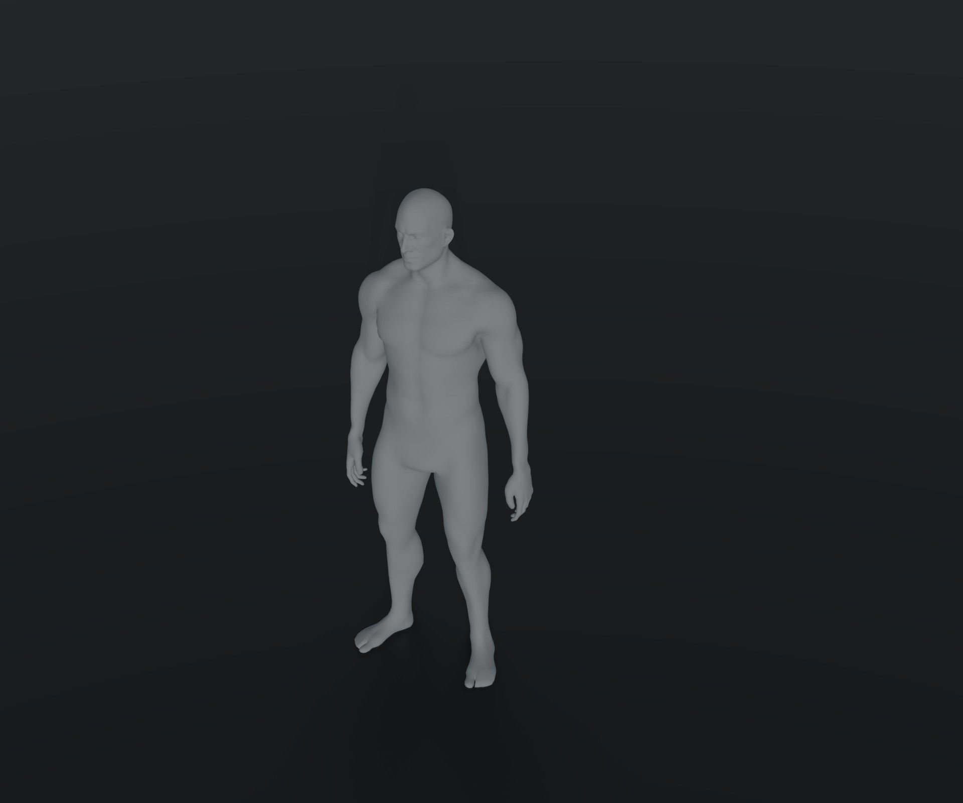 Male Female Body Base Mesh Animated Rigged 10k Poly Collection _12