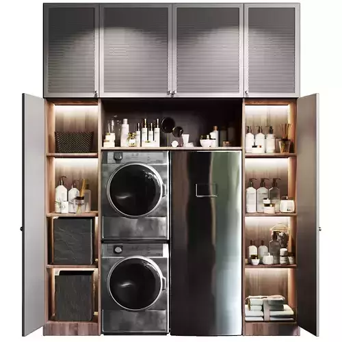 Laundry room with household appliances