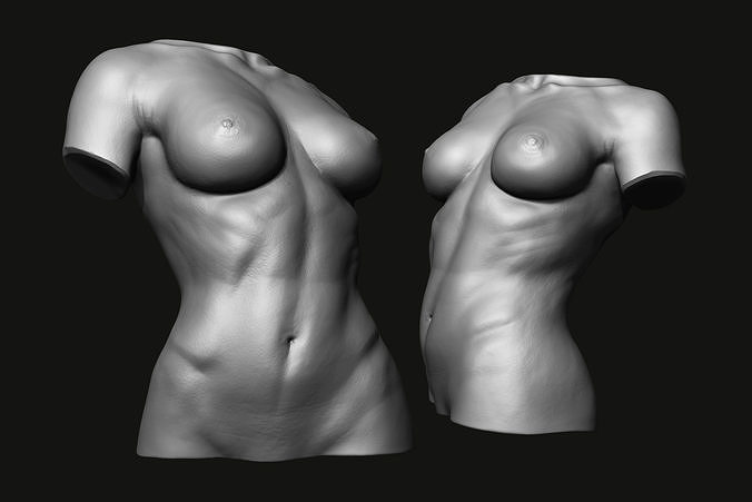 Female Torso - 3D print model