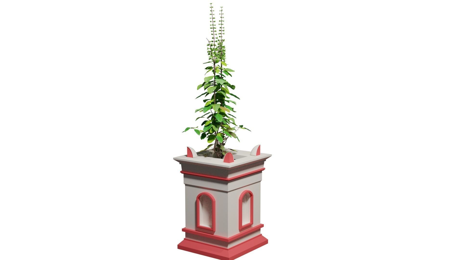 Basil Tree Low-poly 3D model_6