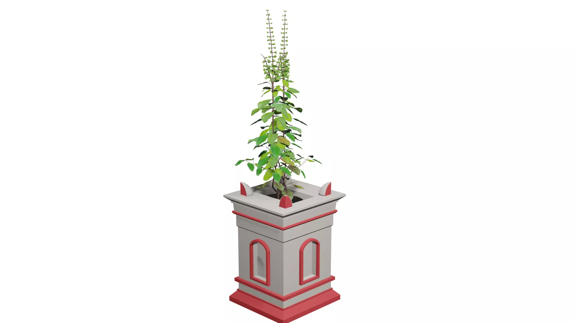 Basil Tree Low-poly 3D model_0