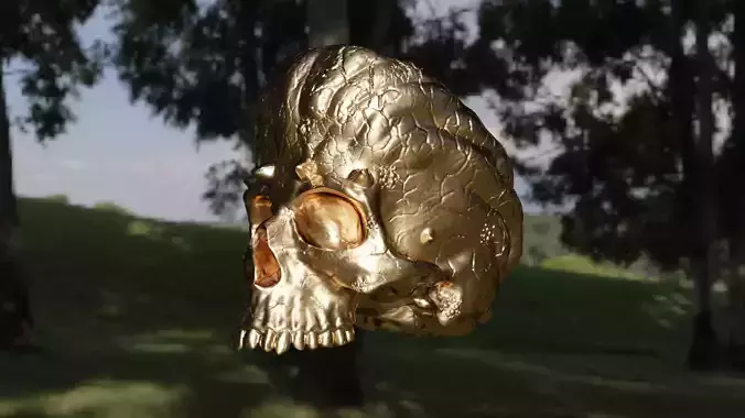 Skull to the table