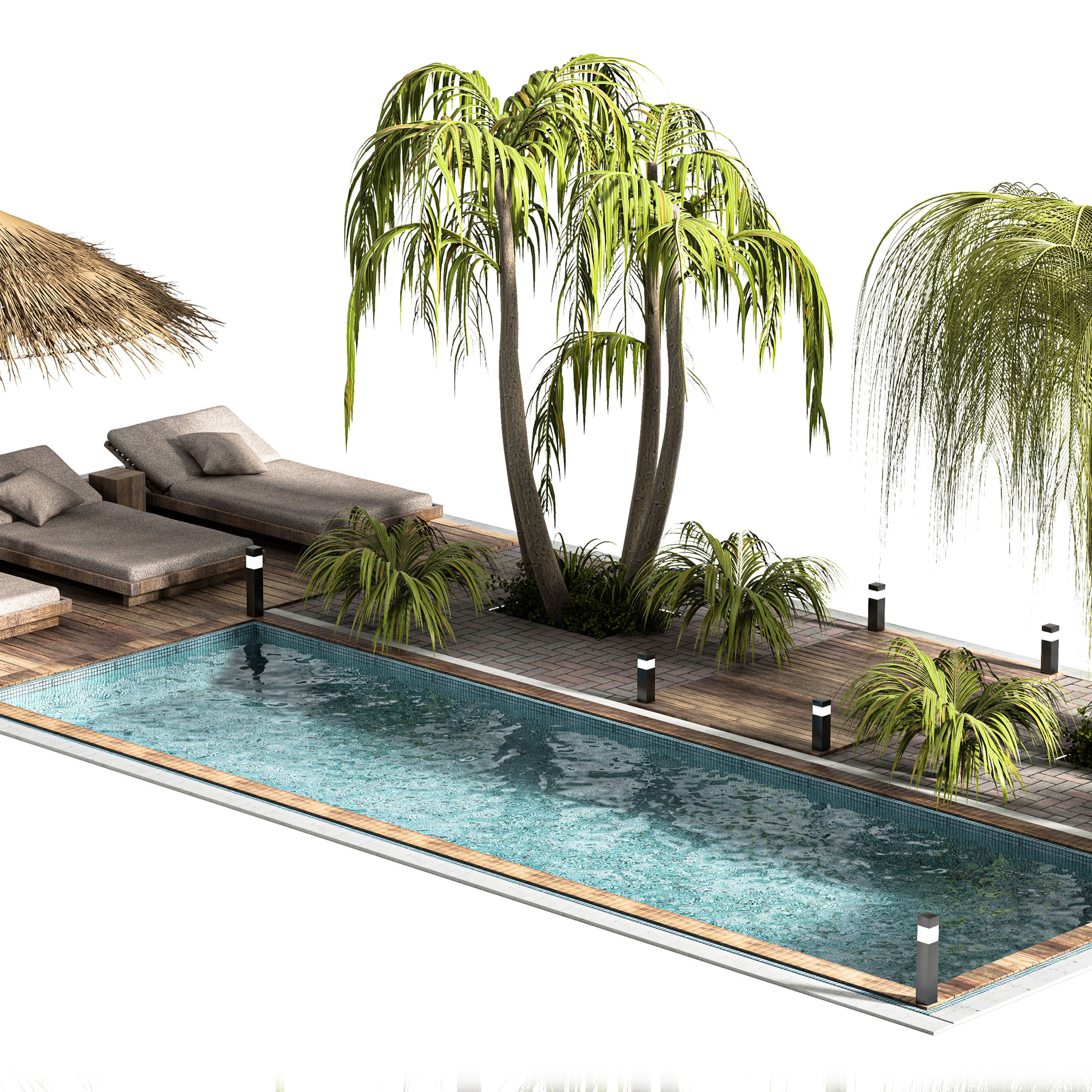 Swimming Pools Your Backyard 3D model_3