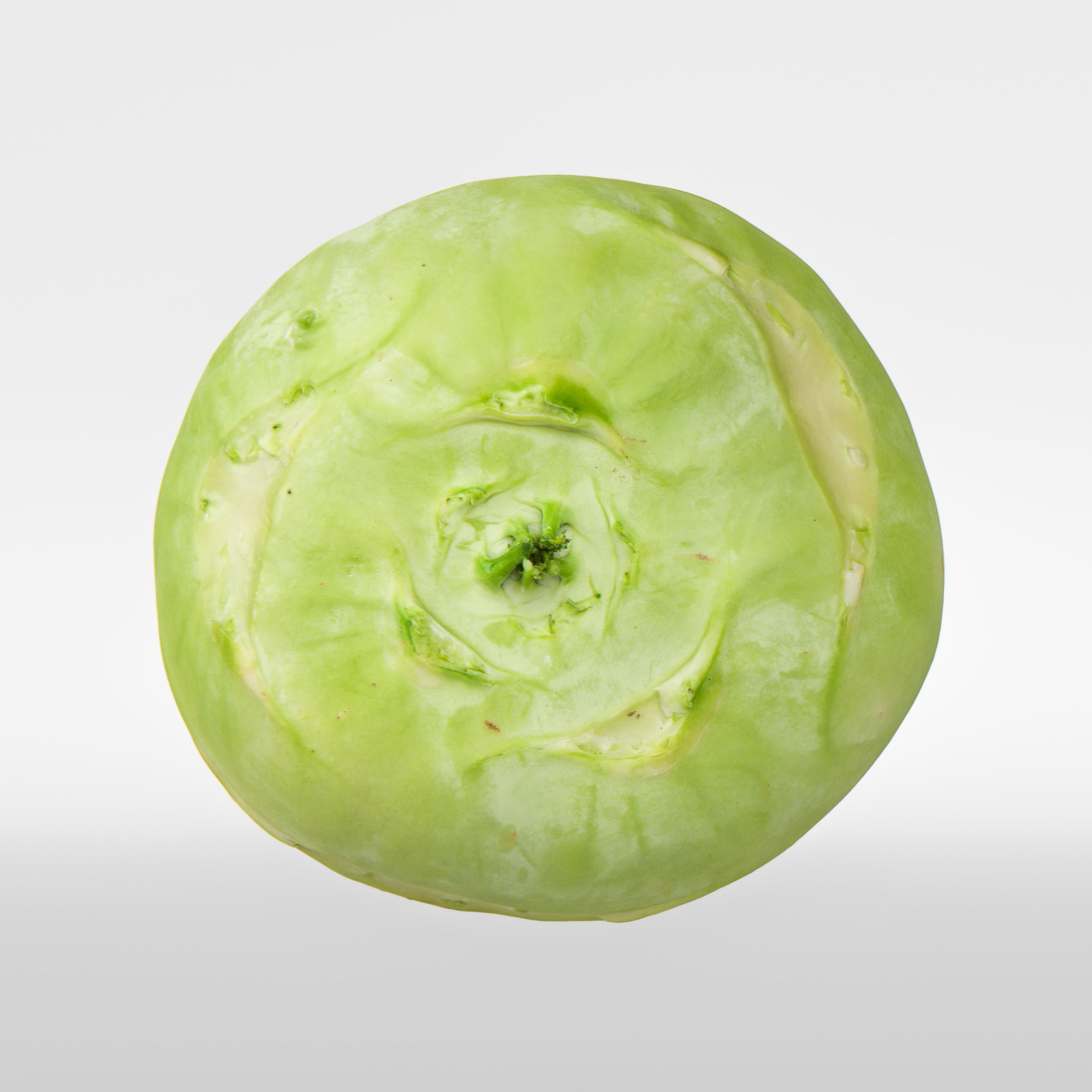Kohlrabi 3D model_6
