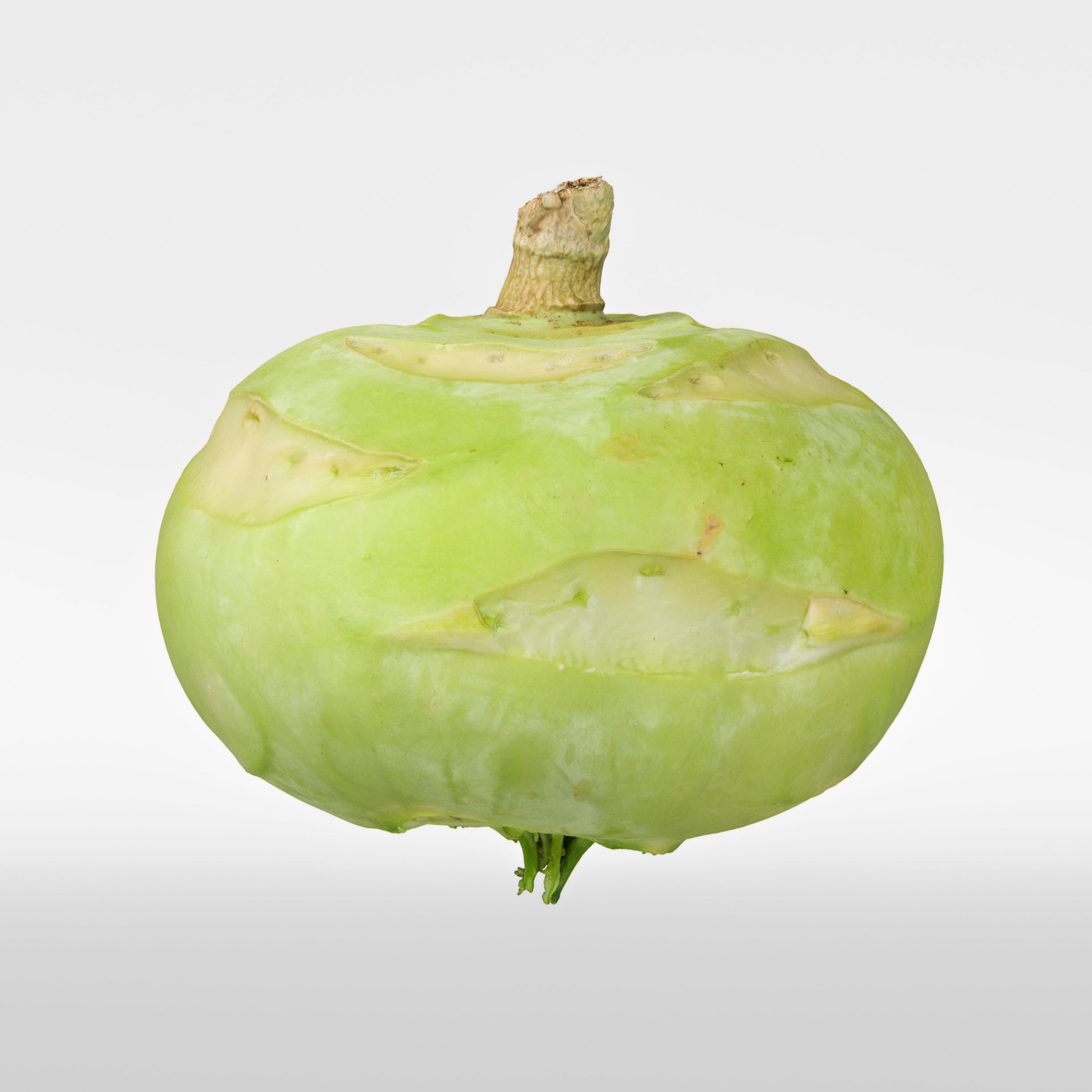 Kohlrabi 3D model_5