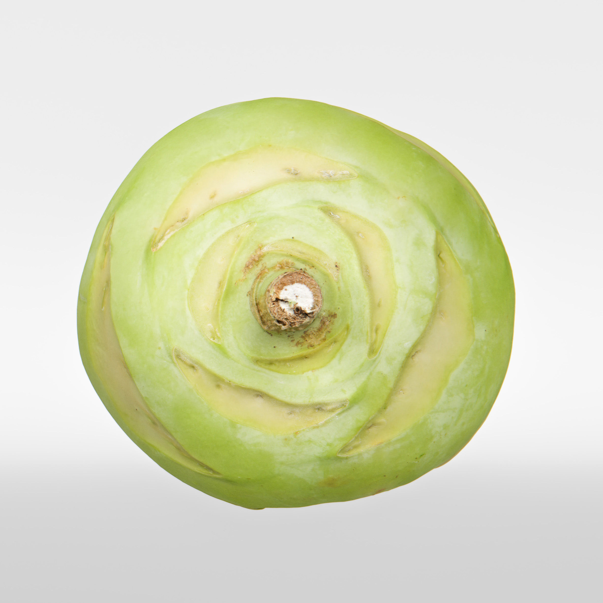 Kohlrabi 3D model_7