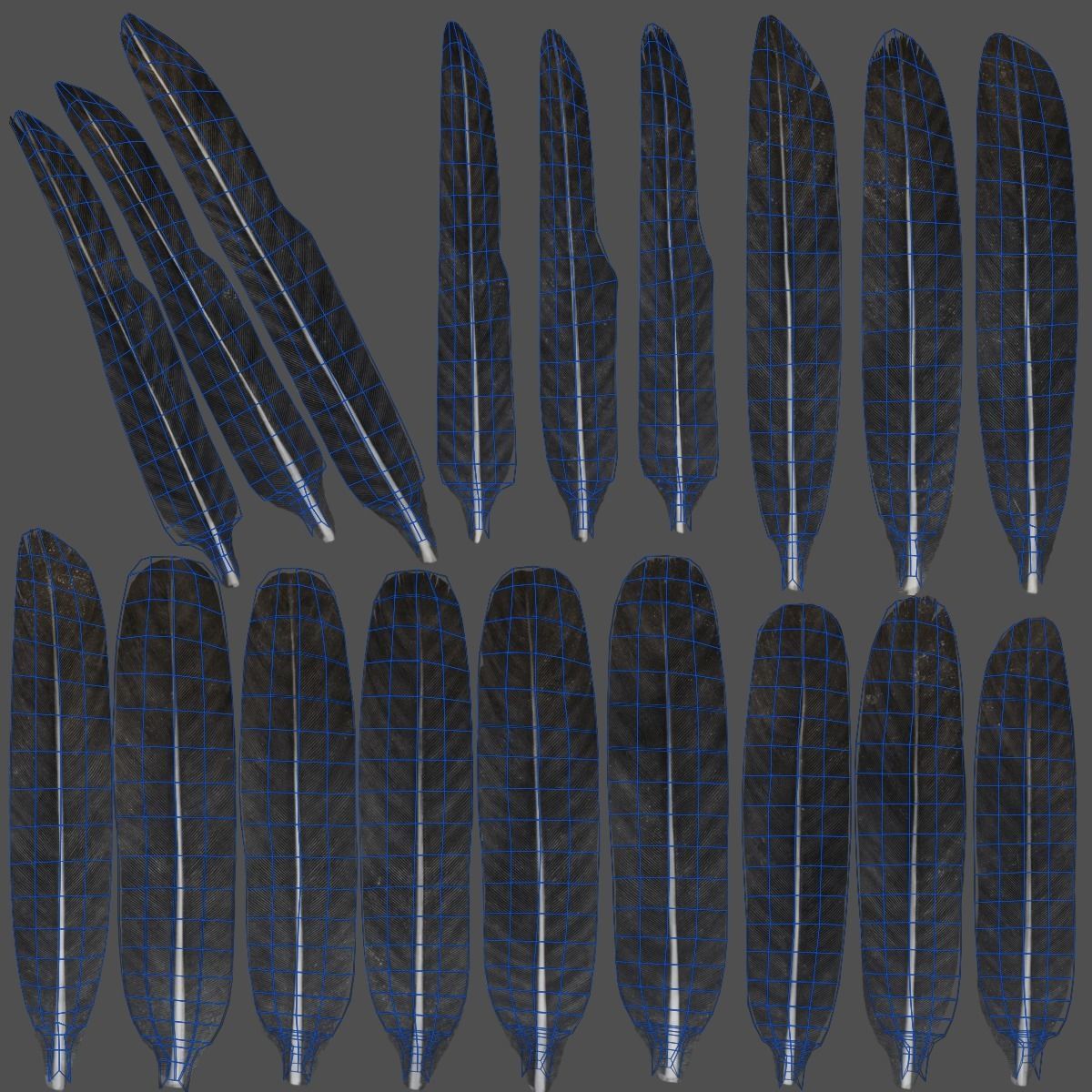 Carrion Crow Animated VFX Grace 3D model_41