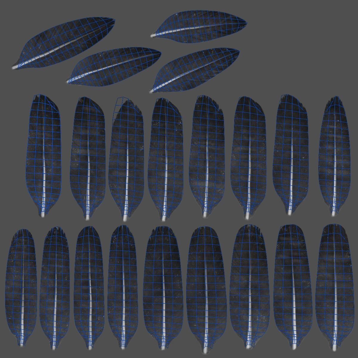 Carrion Crow Animated VFX Grace 3D model_46