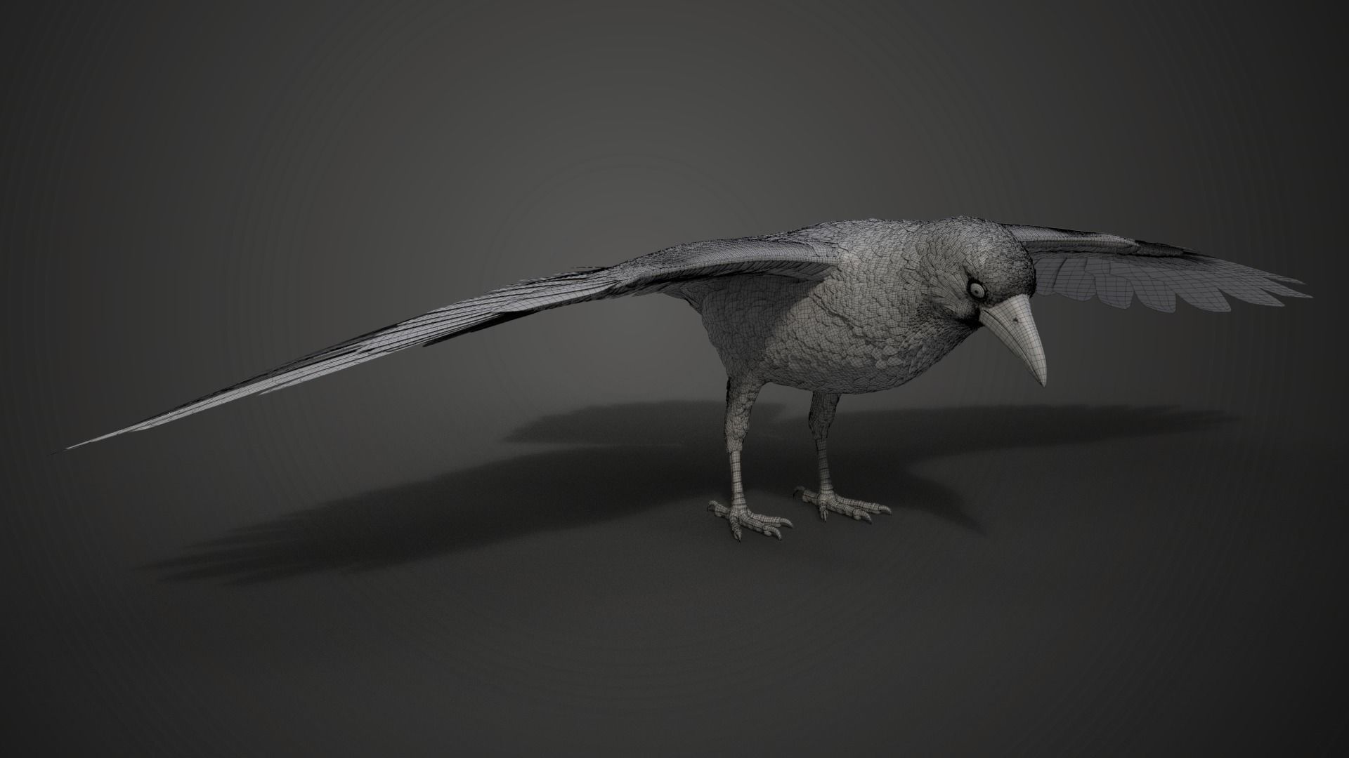 Carrion Crow Animated VFX Grace 3D model_36