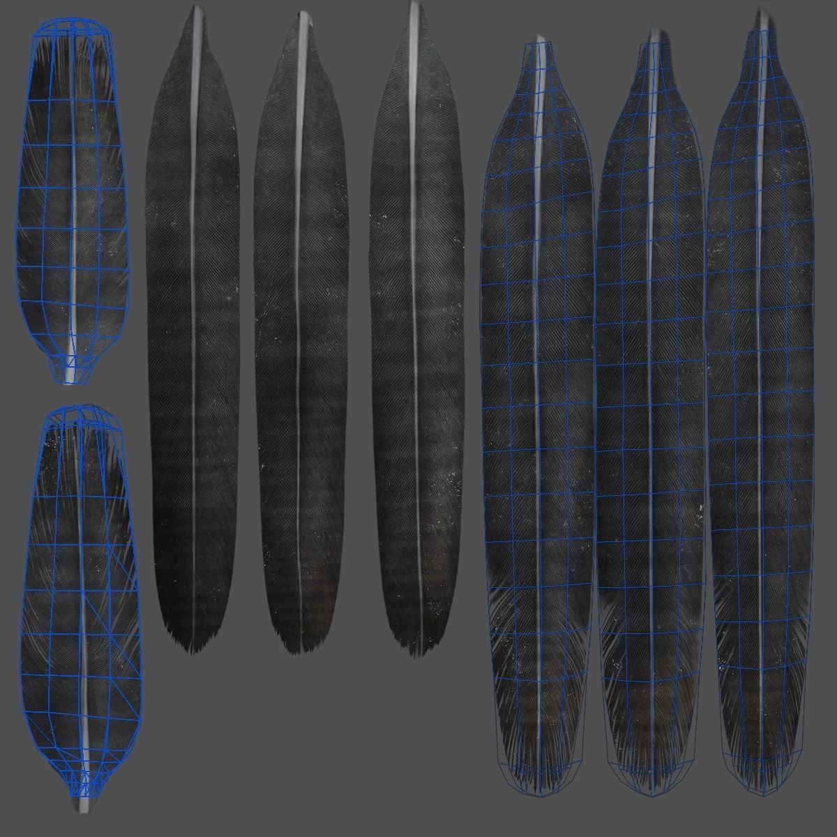 Carrion Crow Animated VFX Grace 3D model_43