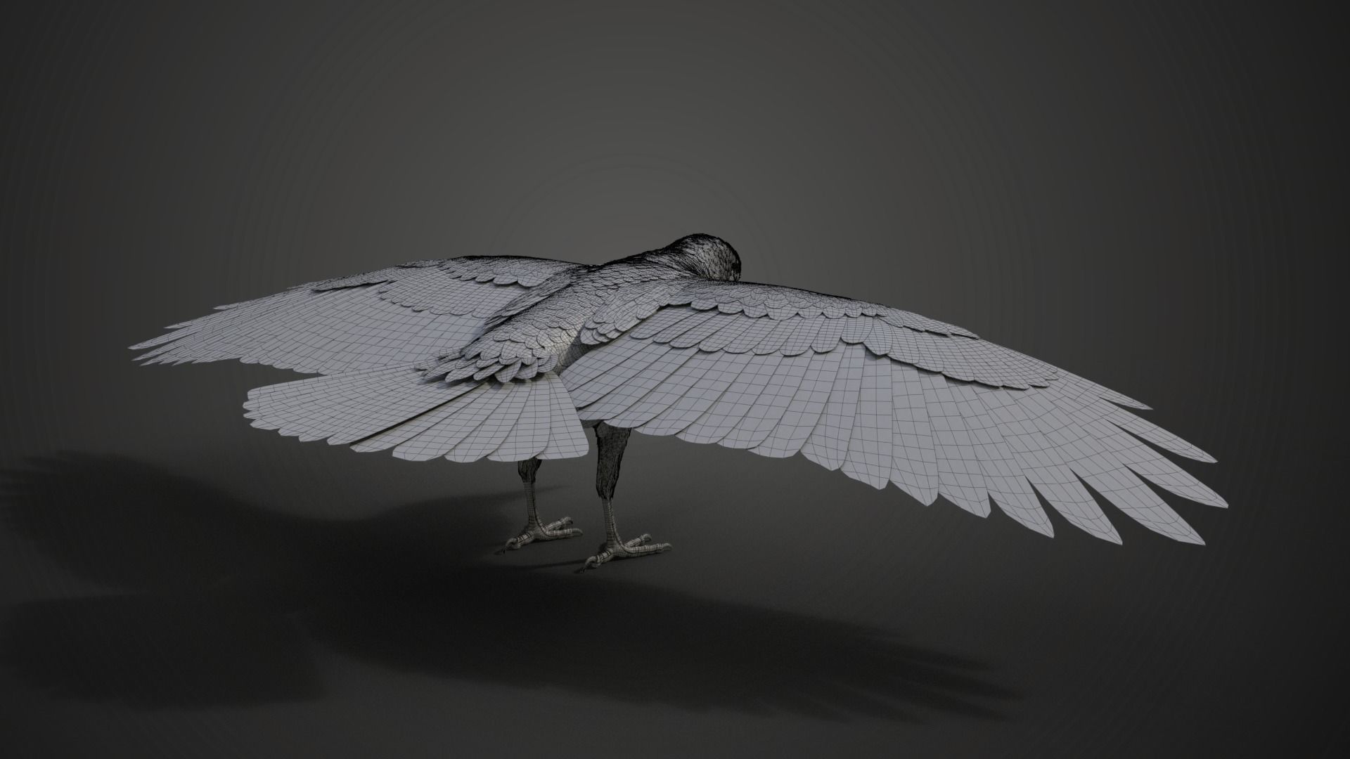 Carrion Crow Animated VFX Grace 3D model_38