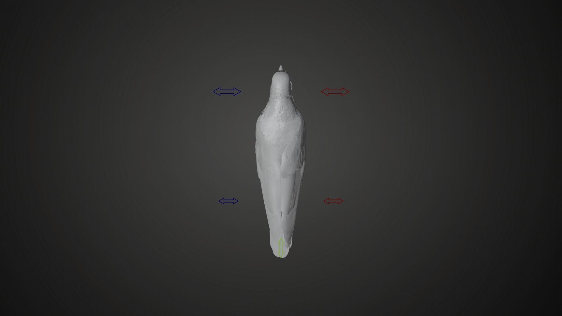 Carrion Crow Animated VFX Grace 3D model_33