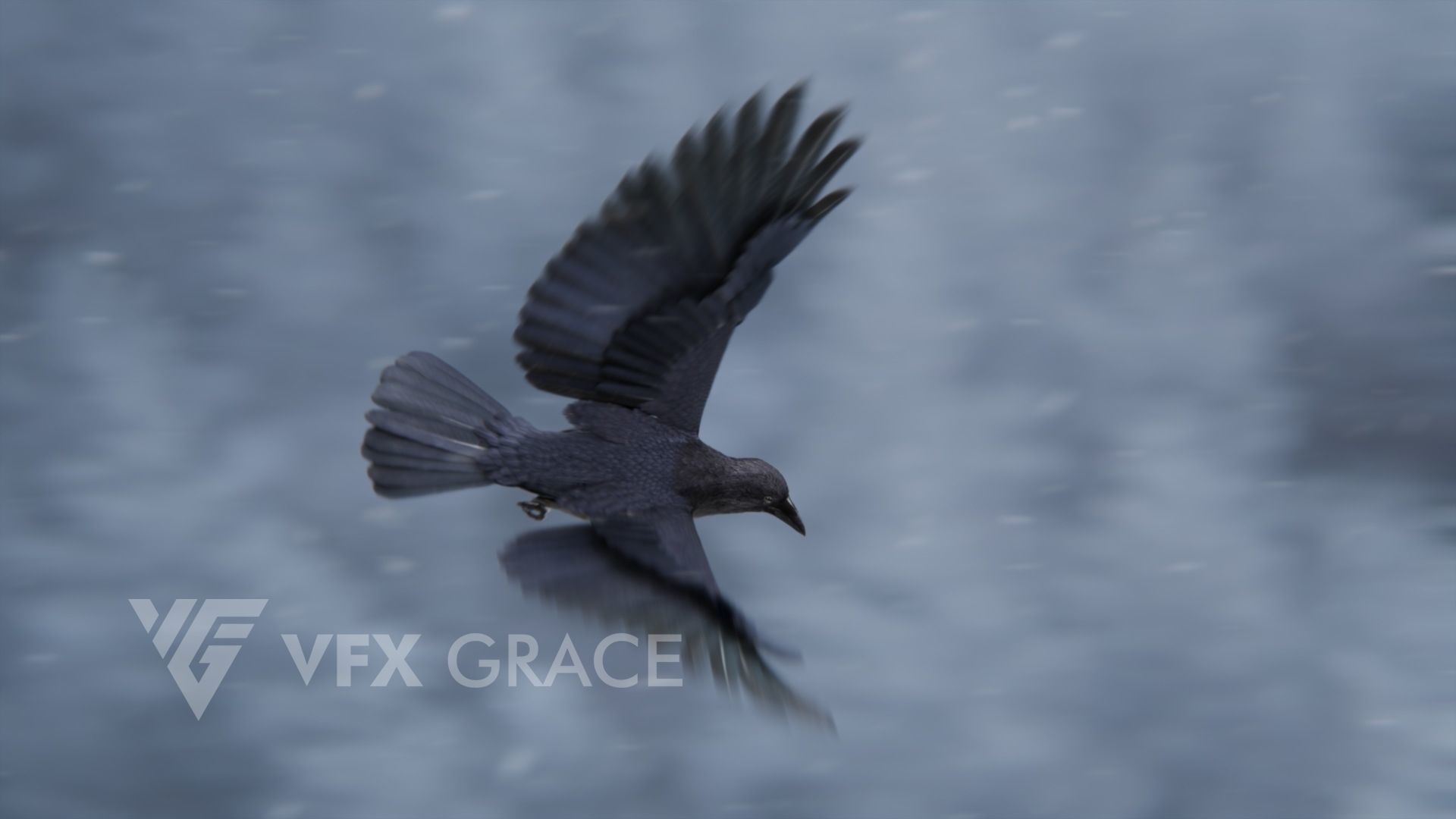 Carrion Crow Animated VFX Grace 3D model_10