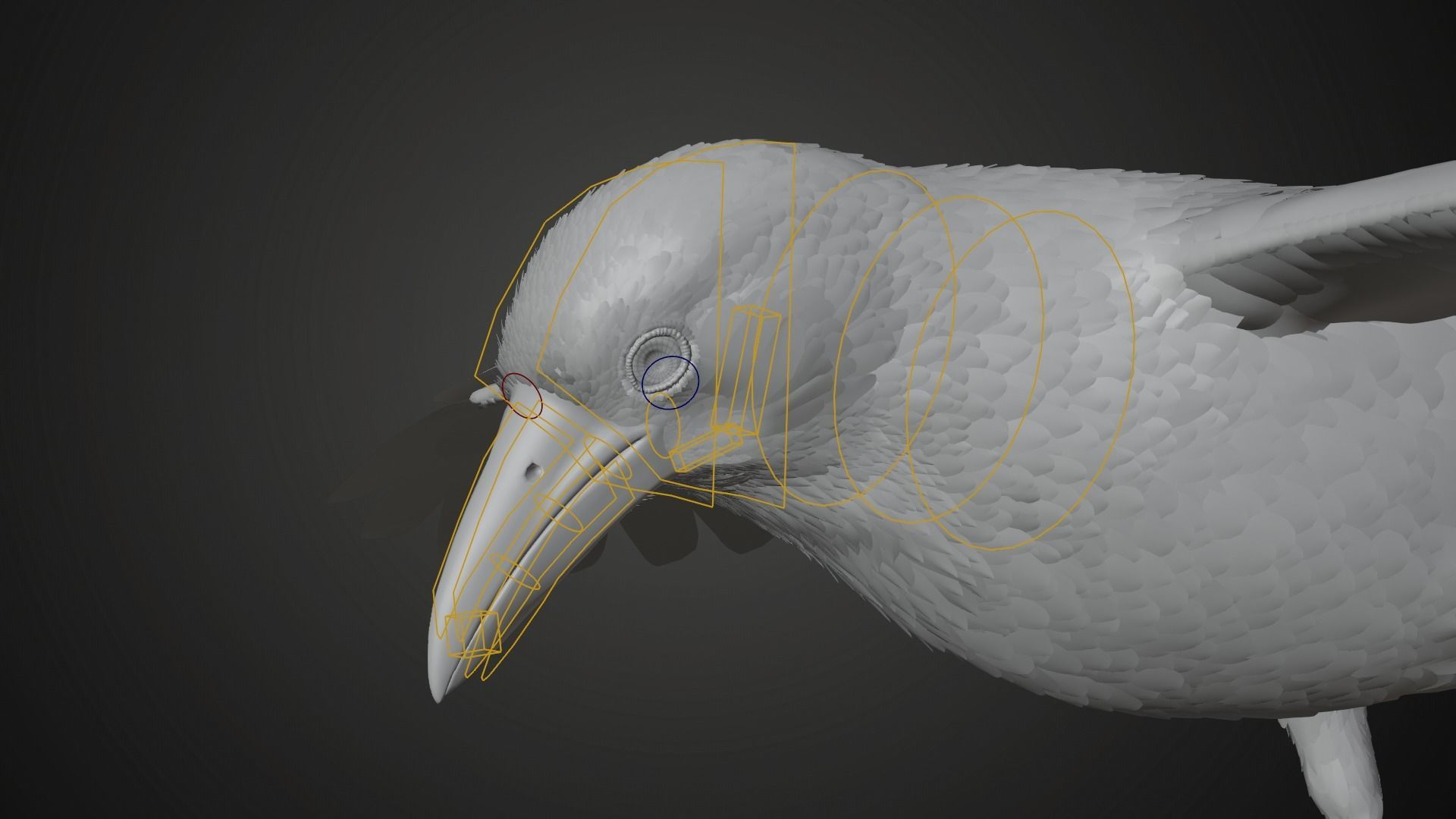 Carrion Crow Animated VFX Grace 3D model_23