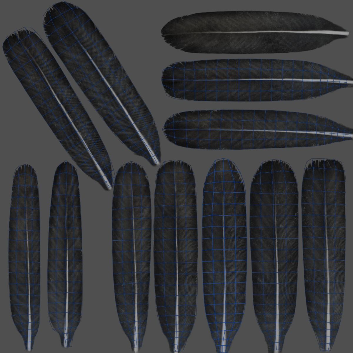 Carrion Crow Animated VFX Grace 3D model_47