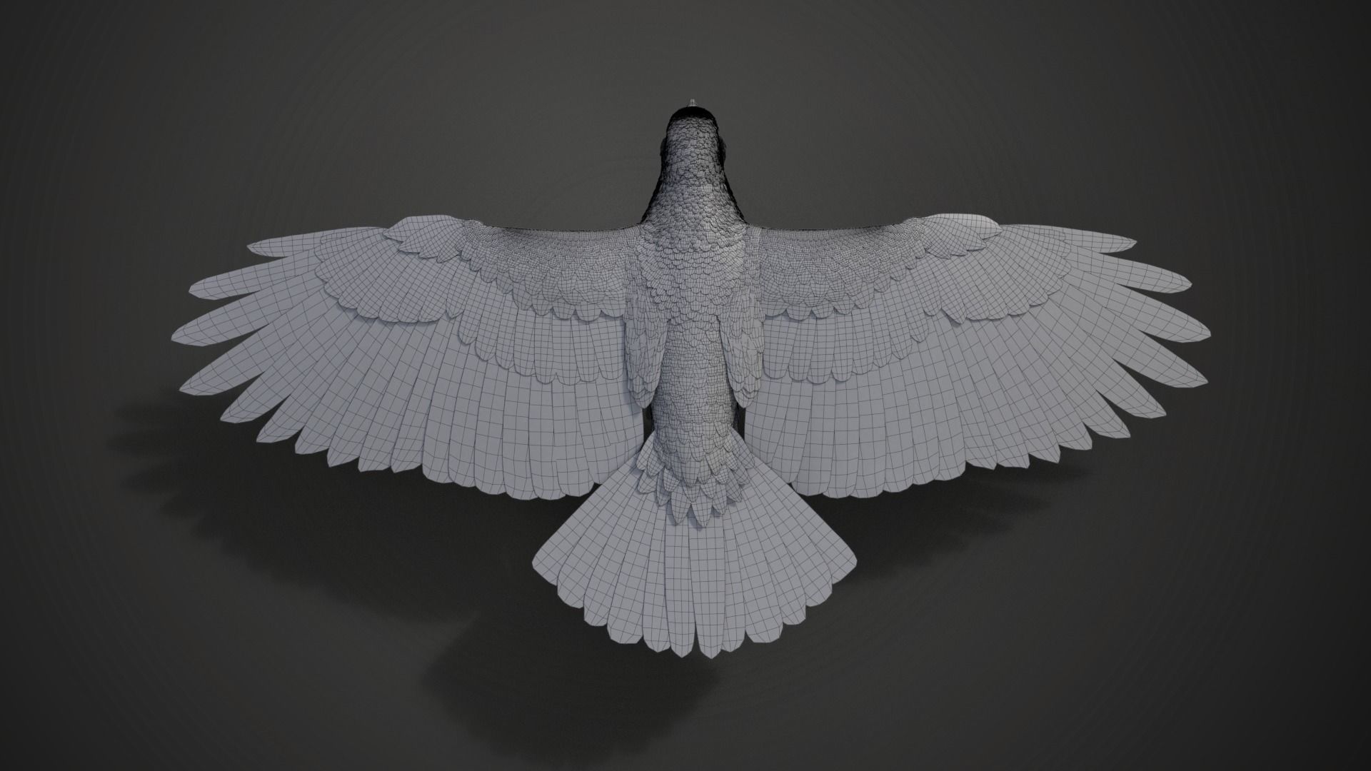 Carrion Crow Animated VFX Grace 3D model_39