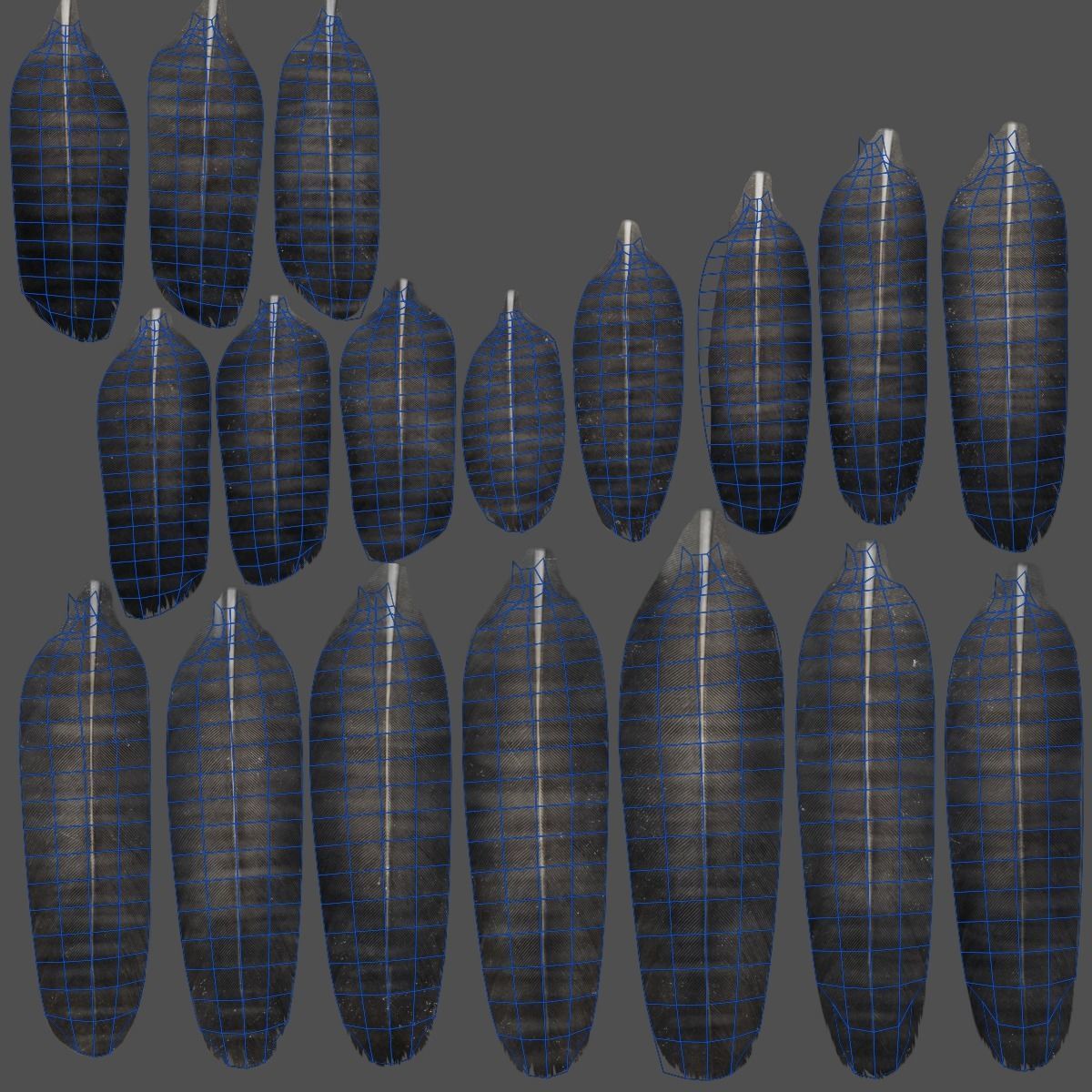 Carrion Crow Animated VFX Grace 3D model_49