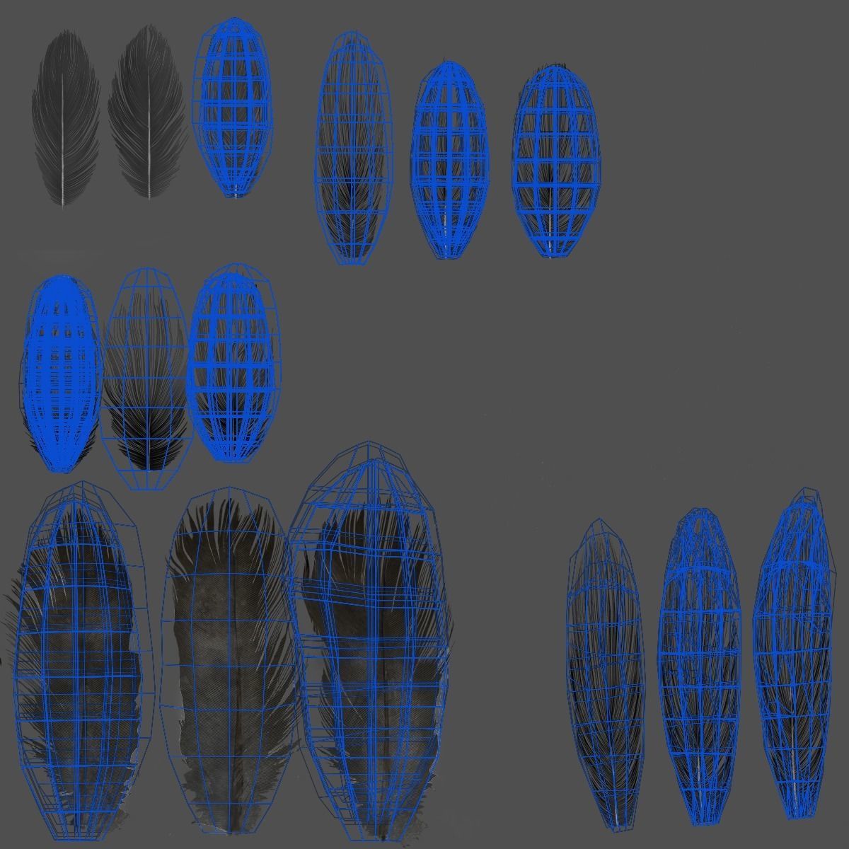 Carrion Crow Animated VFX Grace 3D model_50