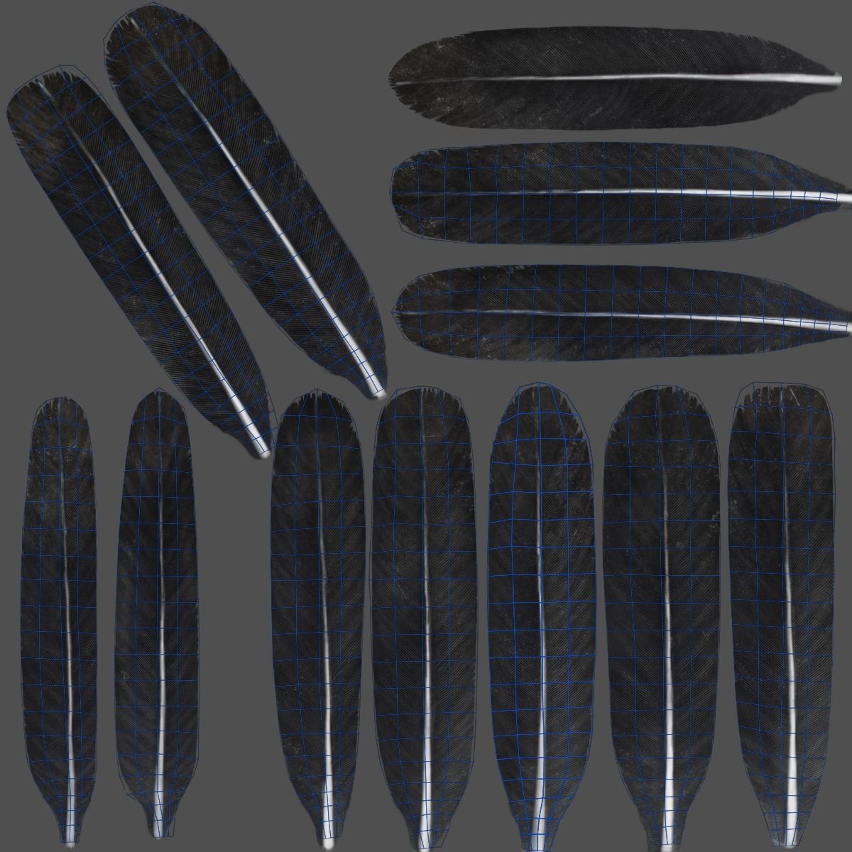 Carrion Crow Animated VFX Grace 3D model_45