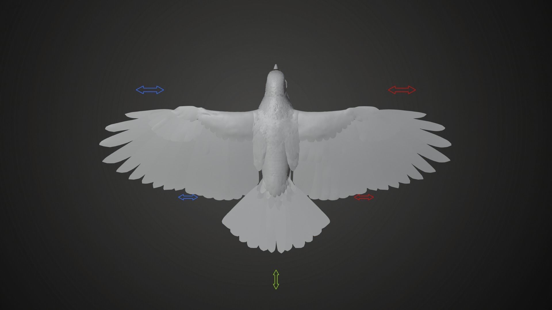 Carrion Crow Animated VFX Grace 3D model_32