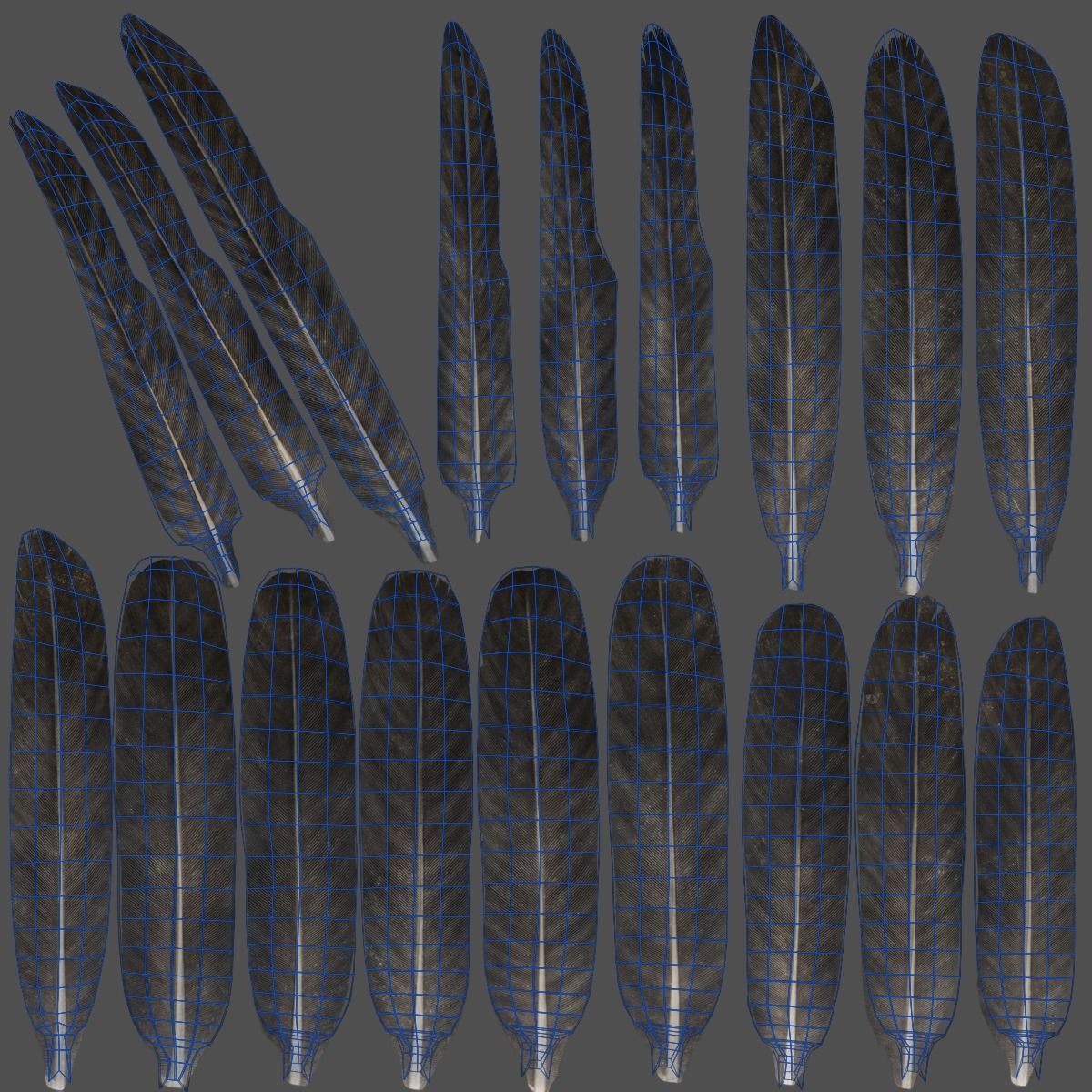 Carrion Crow Animated VFX Grace 3D model_44