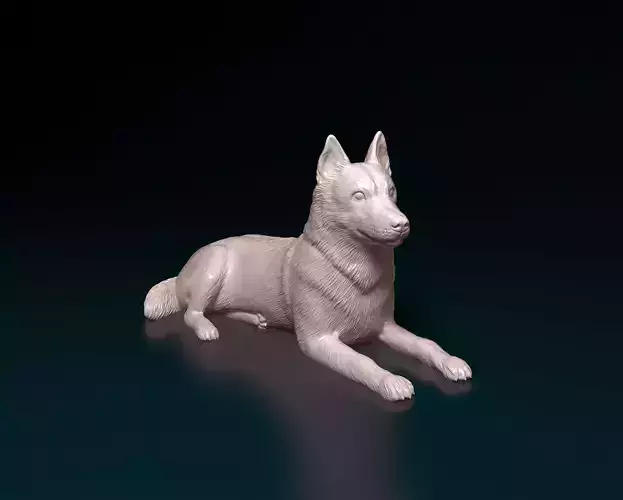 Husky  3D print model