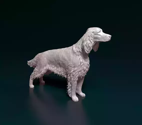 Irish red setter 3D print model