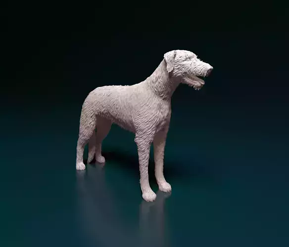 Irish Wolfhound 3D print model